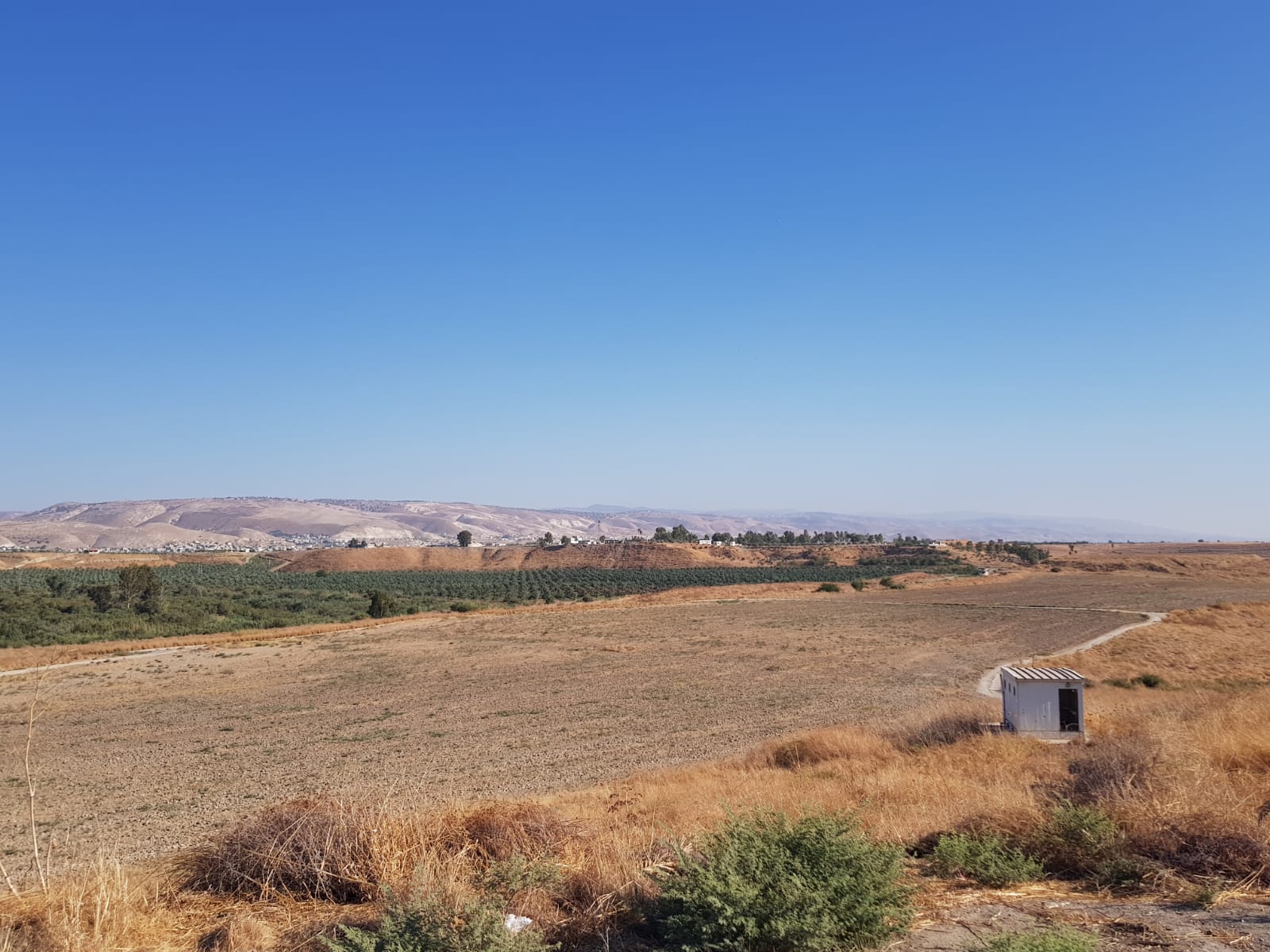 ראש המועצה האזורית עמק הירדן שיגר מכתב  למלך ירדן: הוד מעלתך, בוא ניפגש ונגיע להסדר בנוגע לאי השלום