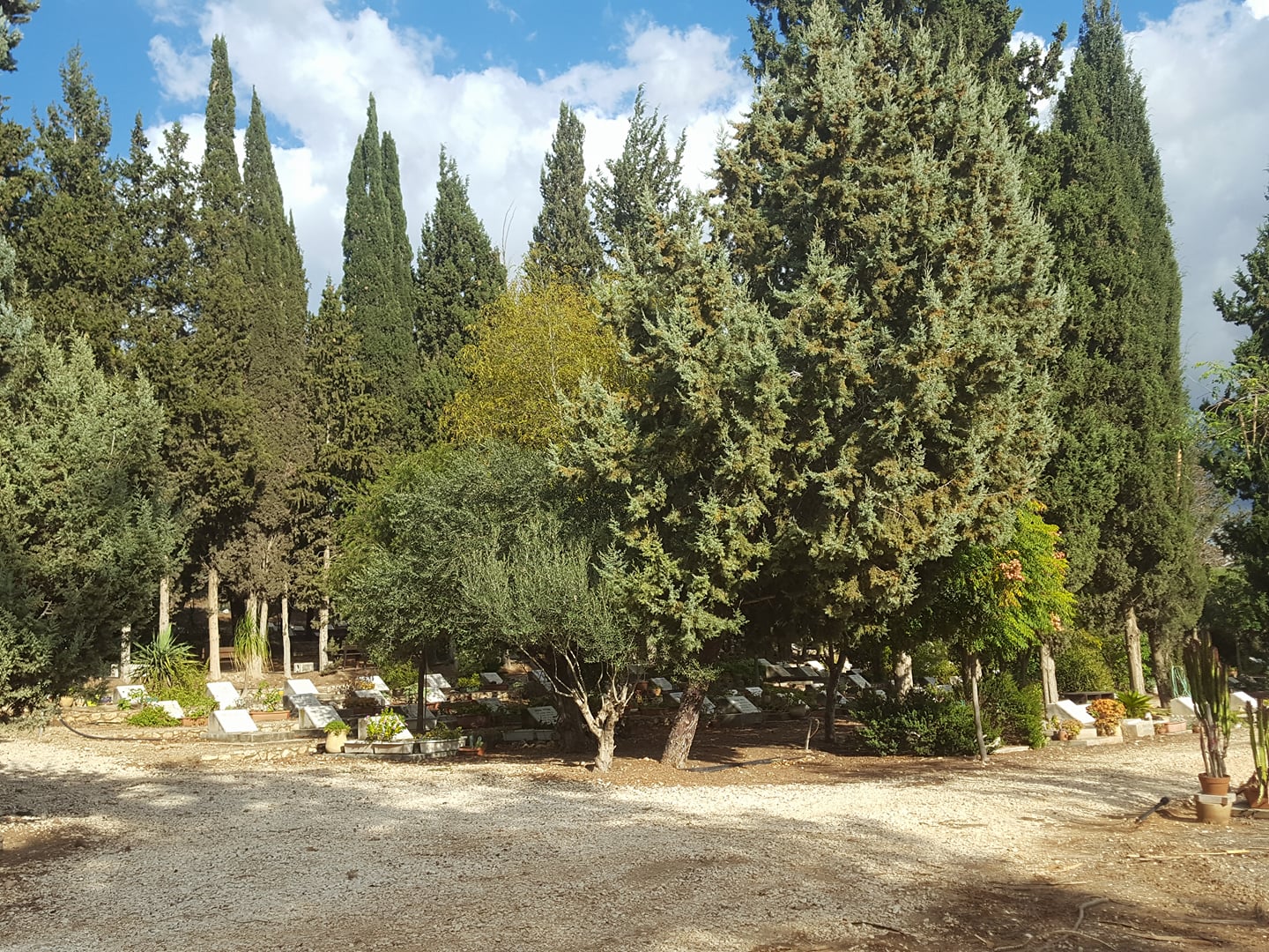 בית העלמין בשריד. צילום: אלי אלון