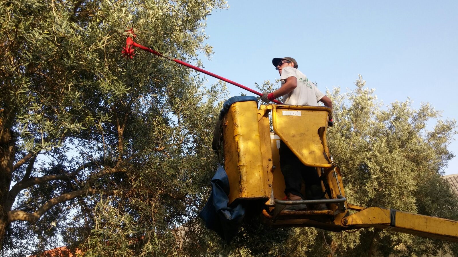 גל לינדמן בפעולה