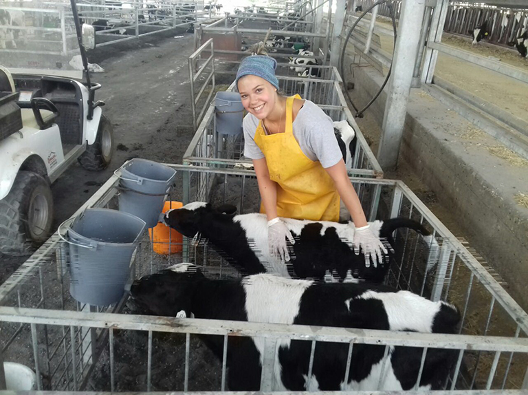 A kibbutz volunteer in Geva, 2017