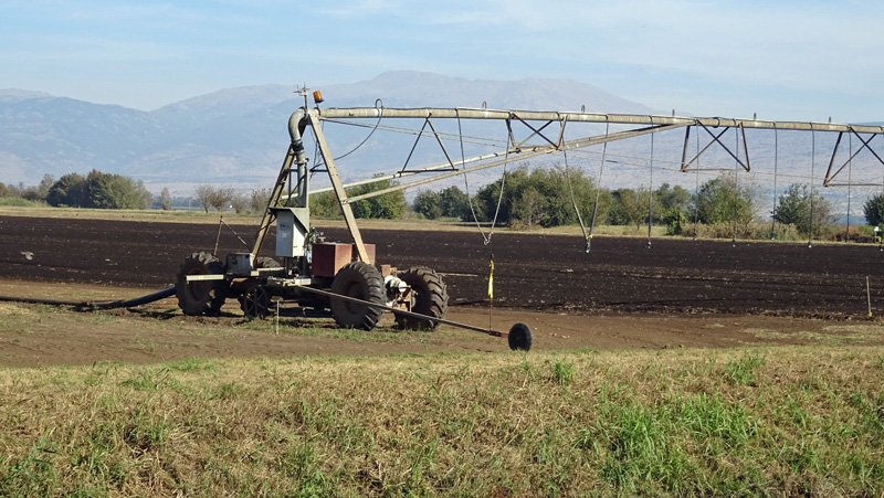 צילום: דורון לב - באדיבות הפורטל לחקלאות טבע וסביבה