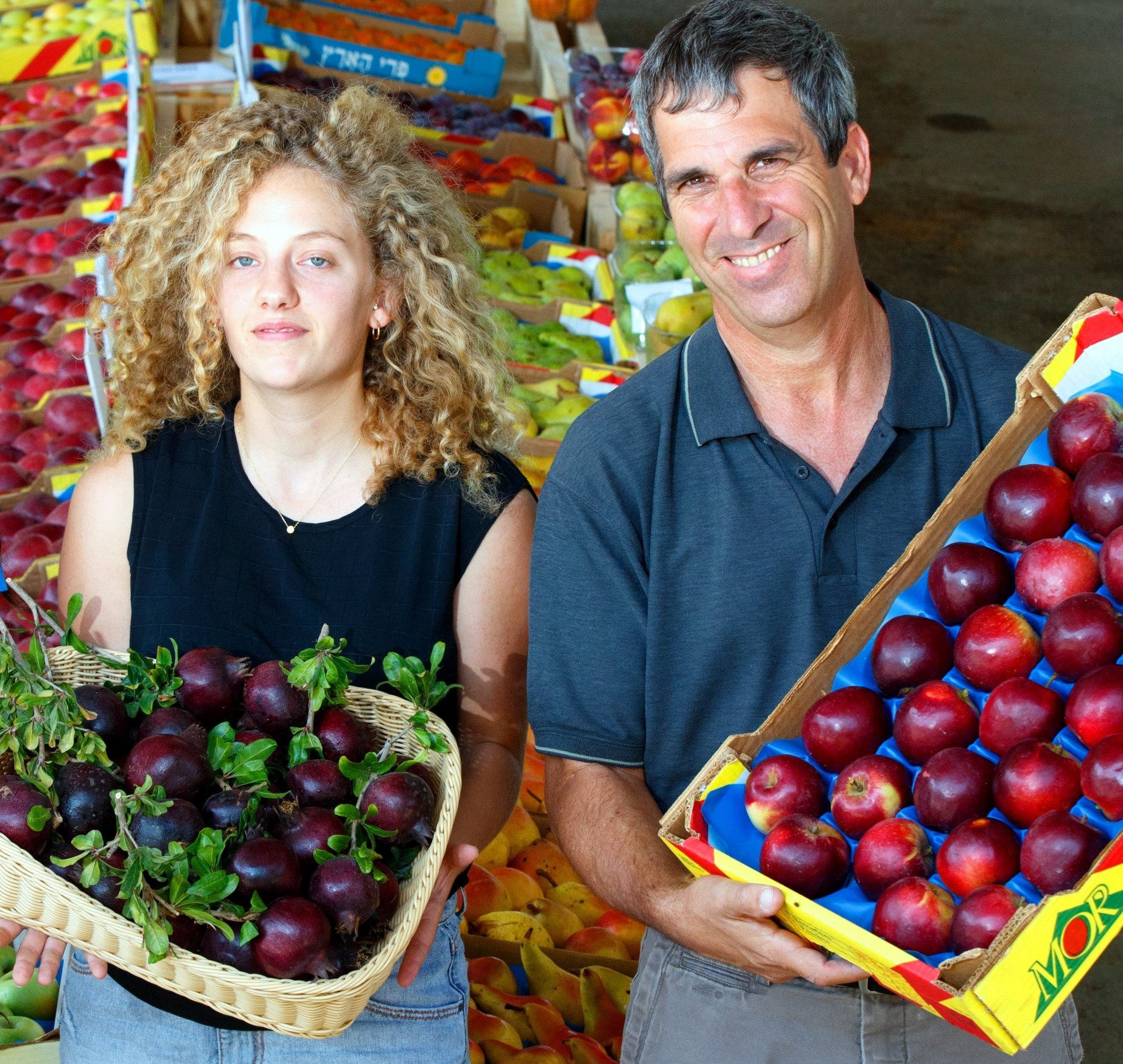 החברה לפיתוח הגליל: יבול התפוח השנה יעמוד על כ- 100 אלף טון