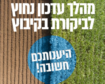 שאלון מערך הביקורת בתנועה