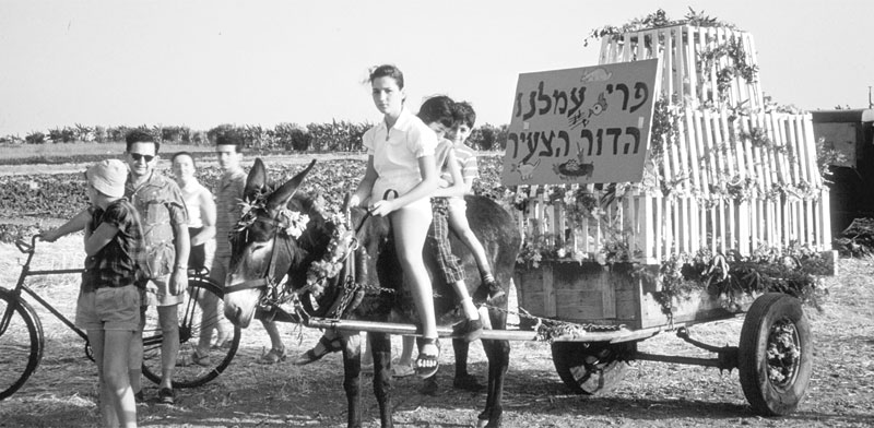 קיבוץ - צילום: לע"מ