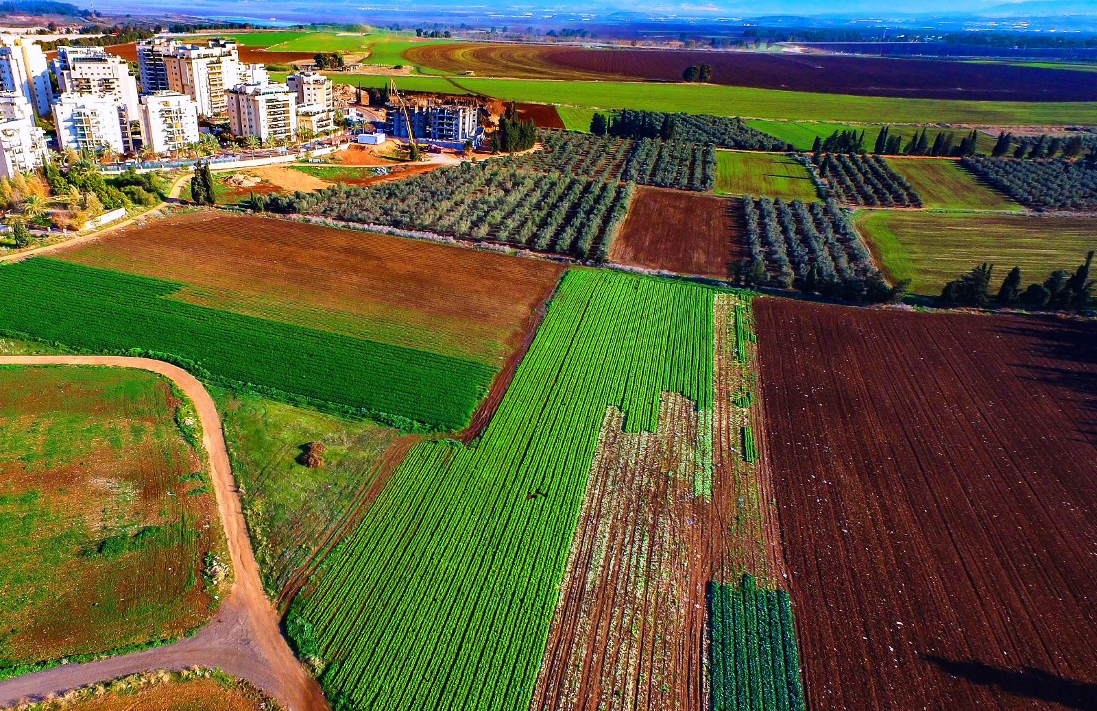 צילם: ערן גילווארג. תצלום משוחרר לשימוש ללא תמורה