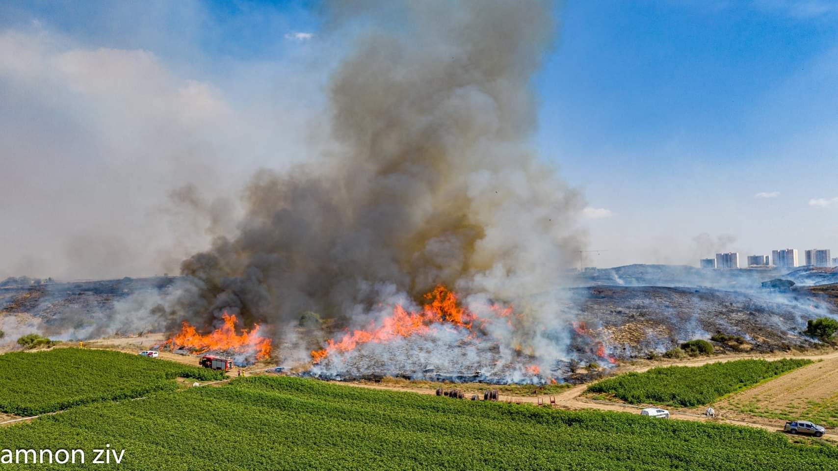 בתיה הולין, חברת כפר עזה, לא מוכנה לשתוק לטרור הבלונים, לא מוכנה לשתוק לשתיקת הממשלה ולא מוכנה לשתוק לשתיקת התקשורת כשבלונים מאיימים על שלום נכדיה ותושבי האיזור ושורפים את שדות האיזור שבו היא גרה. טור מיוחד שכתבה לאתר "on-life"