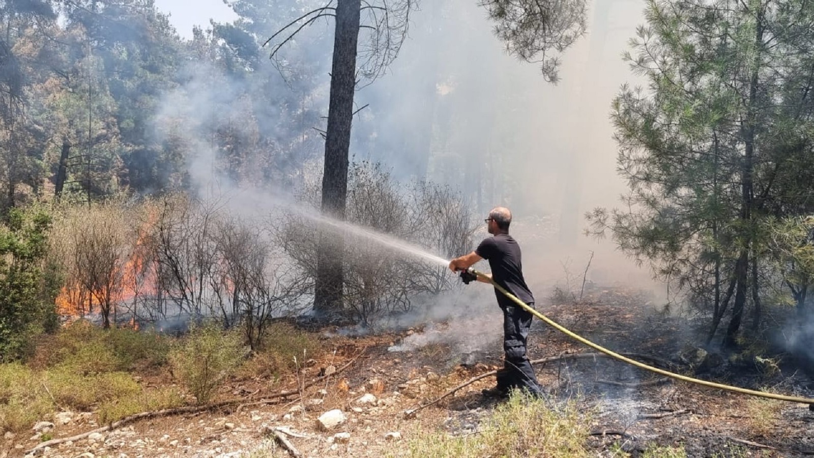 שריפה בחורשה בצפון. האמצעים לכיבוי אינם מספיקים