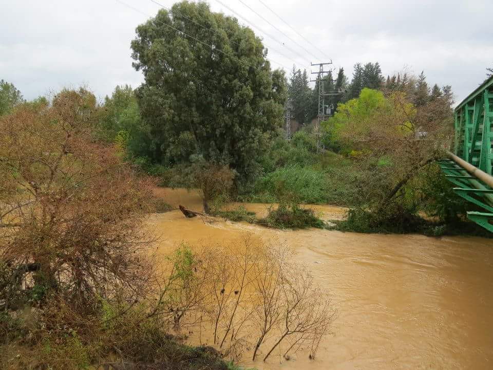 רן סביר, שדה נחמיה. הנחלים בימים יפים יותר