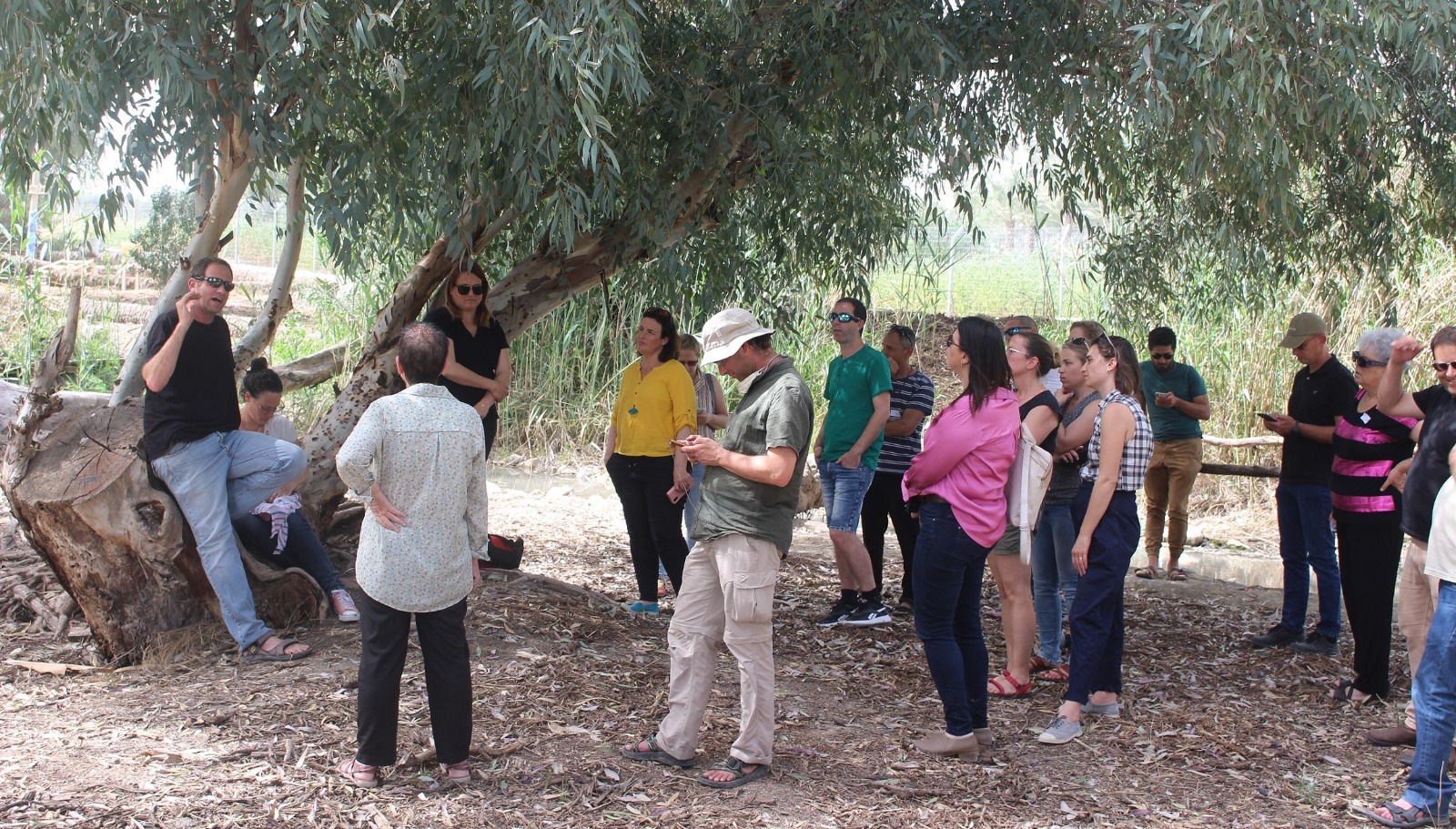 ביקור בחורשת מאוריציוס בכפר רופין 