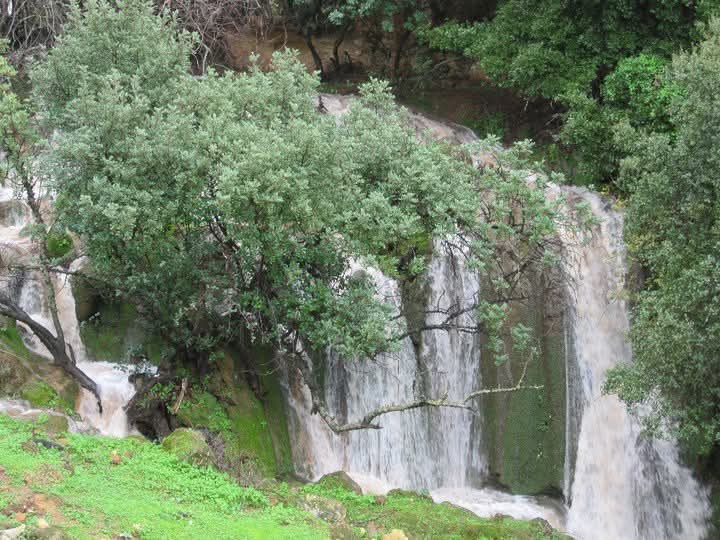 נחל צלמון בסכנה. (צילום: אורי צור, קיבוץ פרוד)