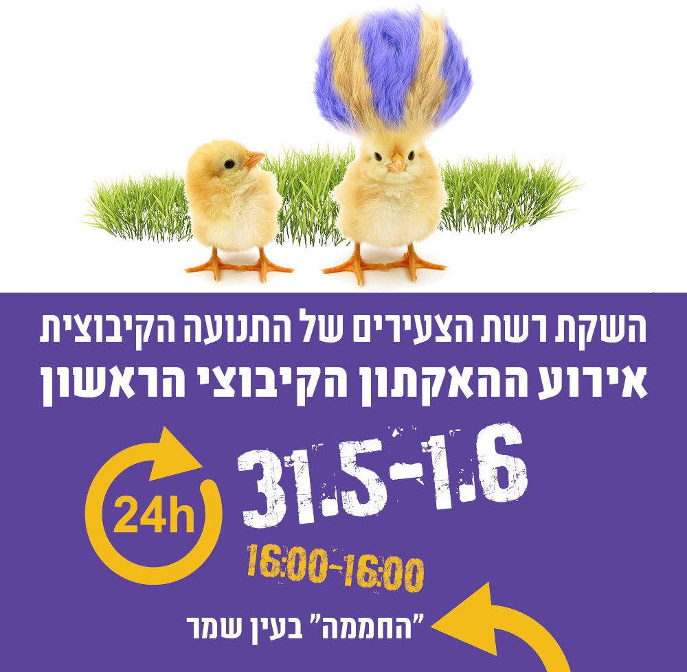 הקאתון רשת הצעירים