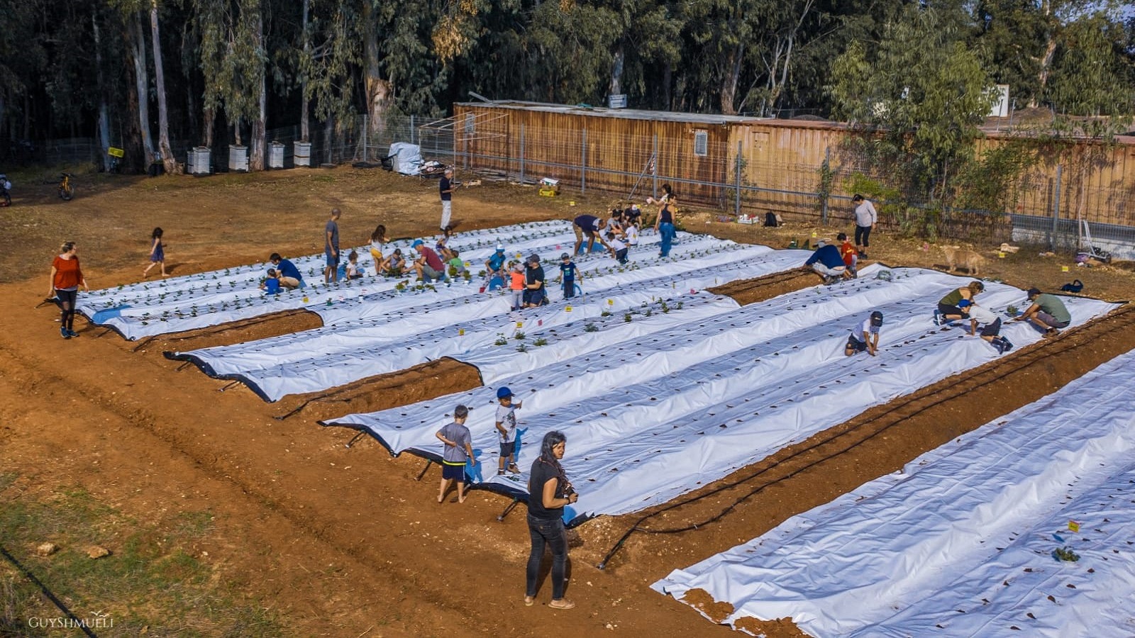 הכנת גינה קהילתית במשמר השרון. צילום: גיא שמואלי