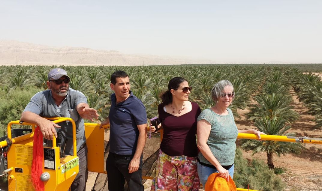 ביקור במטע התמרים של אליפז