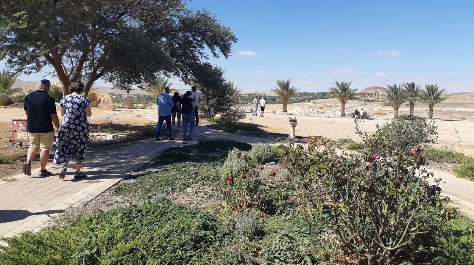 השיתופיים משתפים – הליכה דיאלוגית במדבר