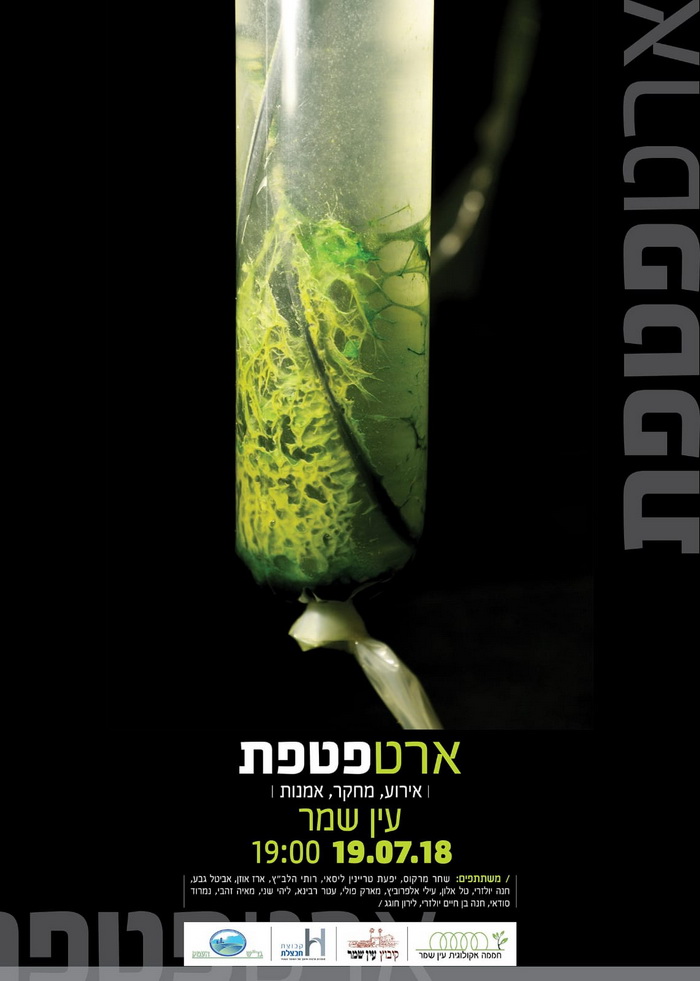 תערוכה