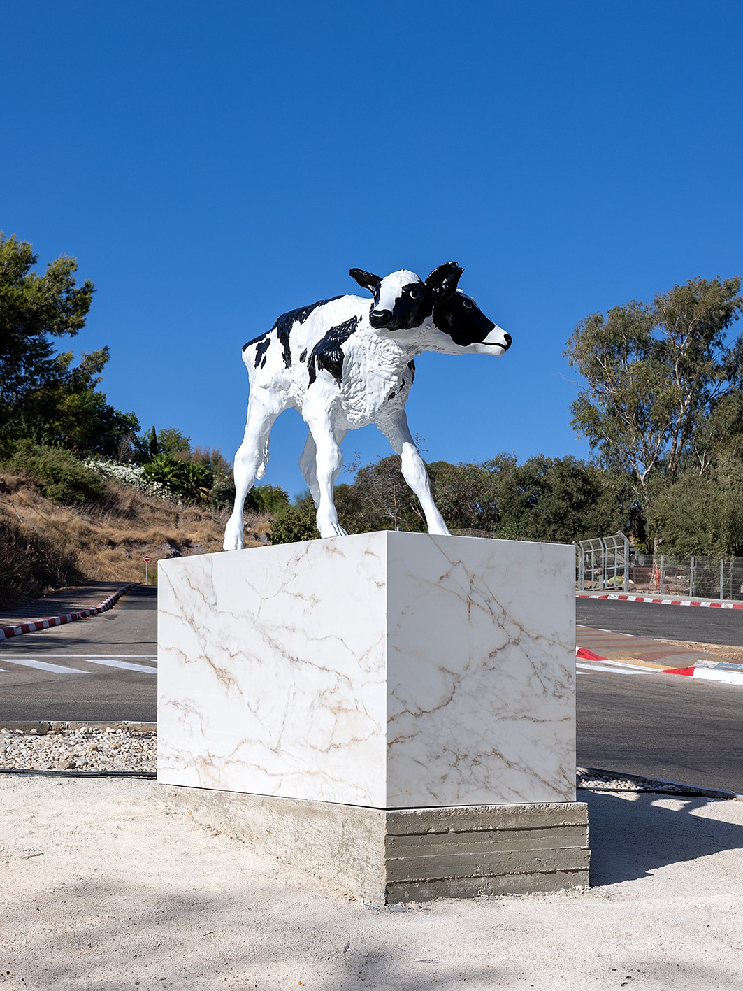 (צילום: מוזיאון בית שטורמן)