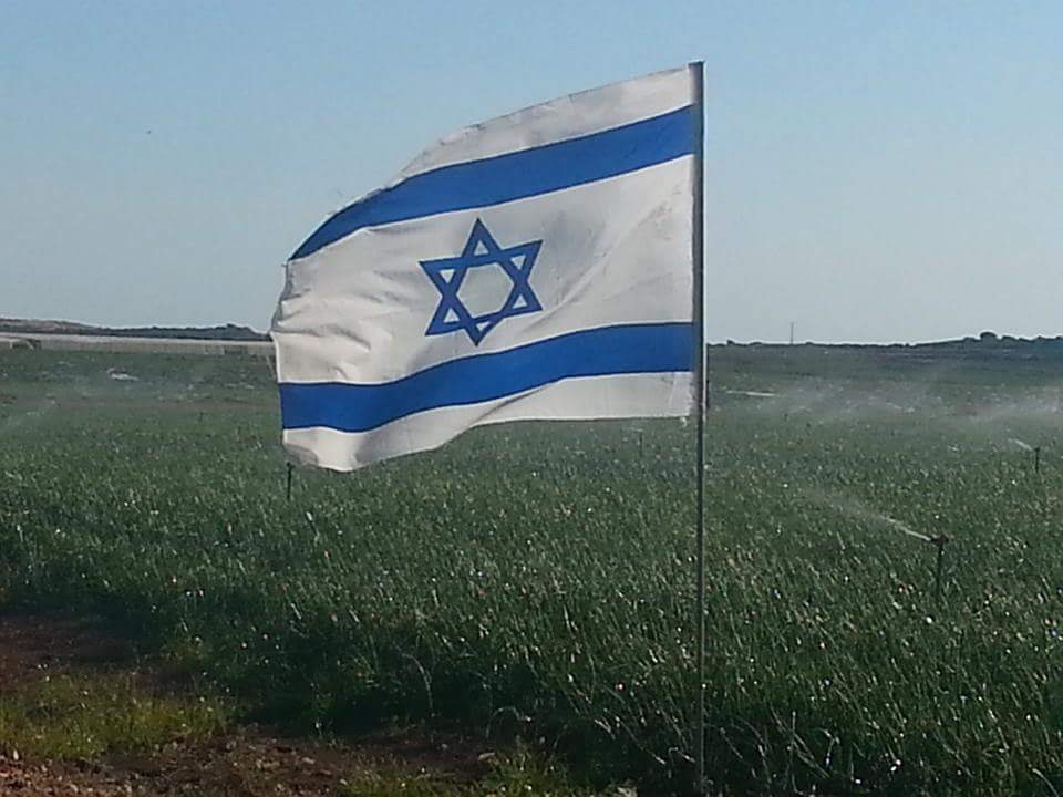 תכנית חינוכית לחברות הנעורים - חודש מאי