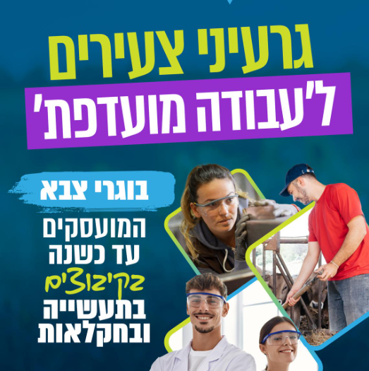 גרעיני צעירים