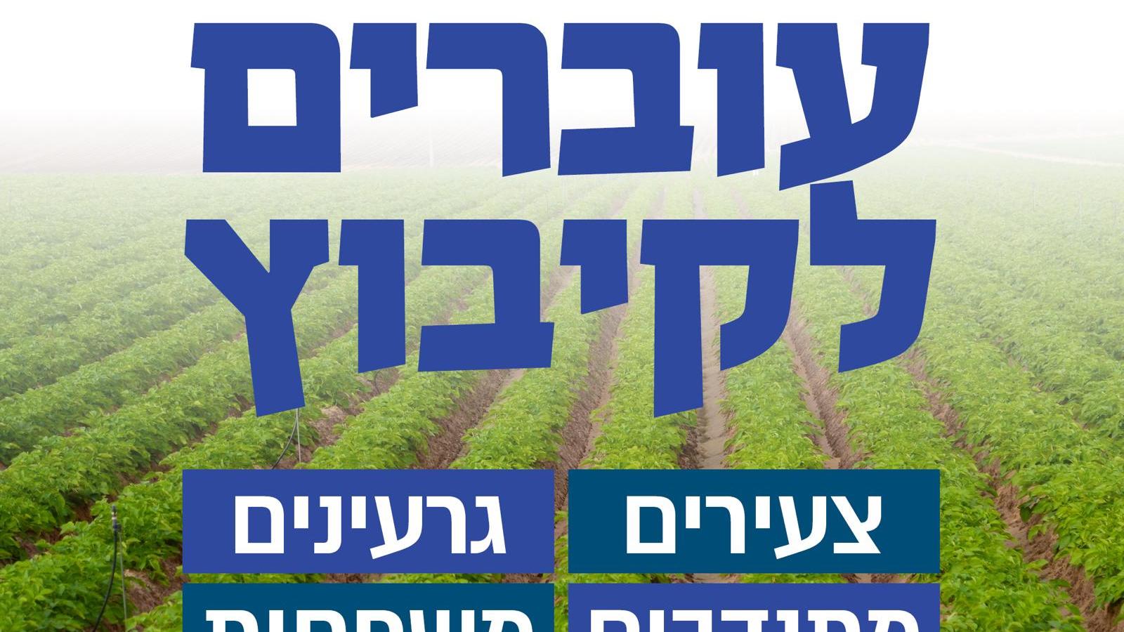 עוברים לקיבוץ, קטלוג ההתיישבות של התנועה הקיבוצית 