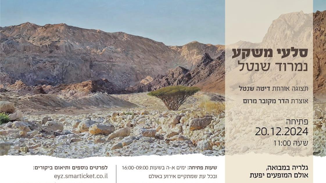 תערוכה