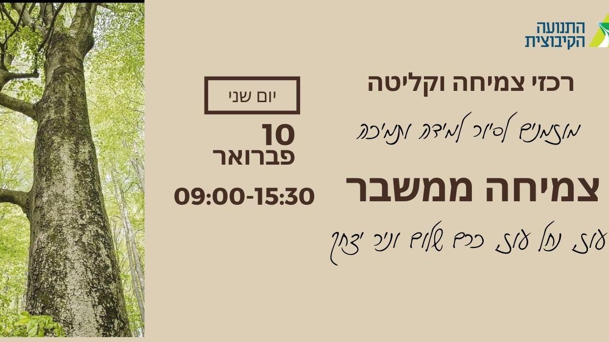 רכזי צמיחה וקליטה
