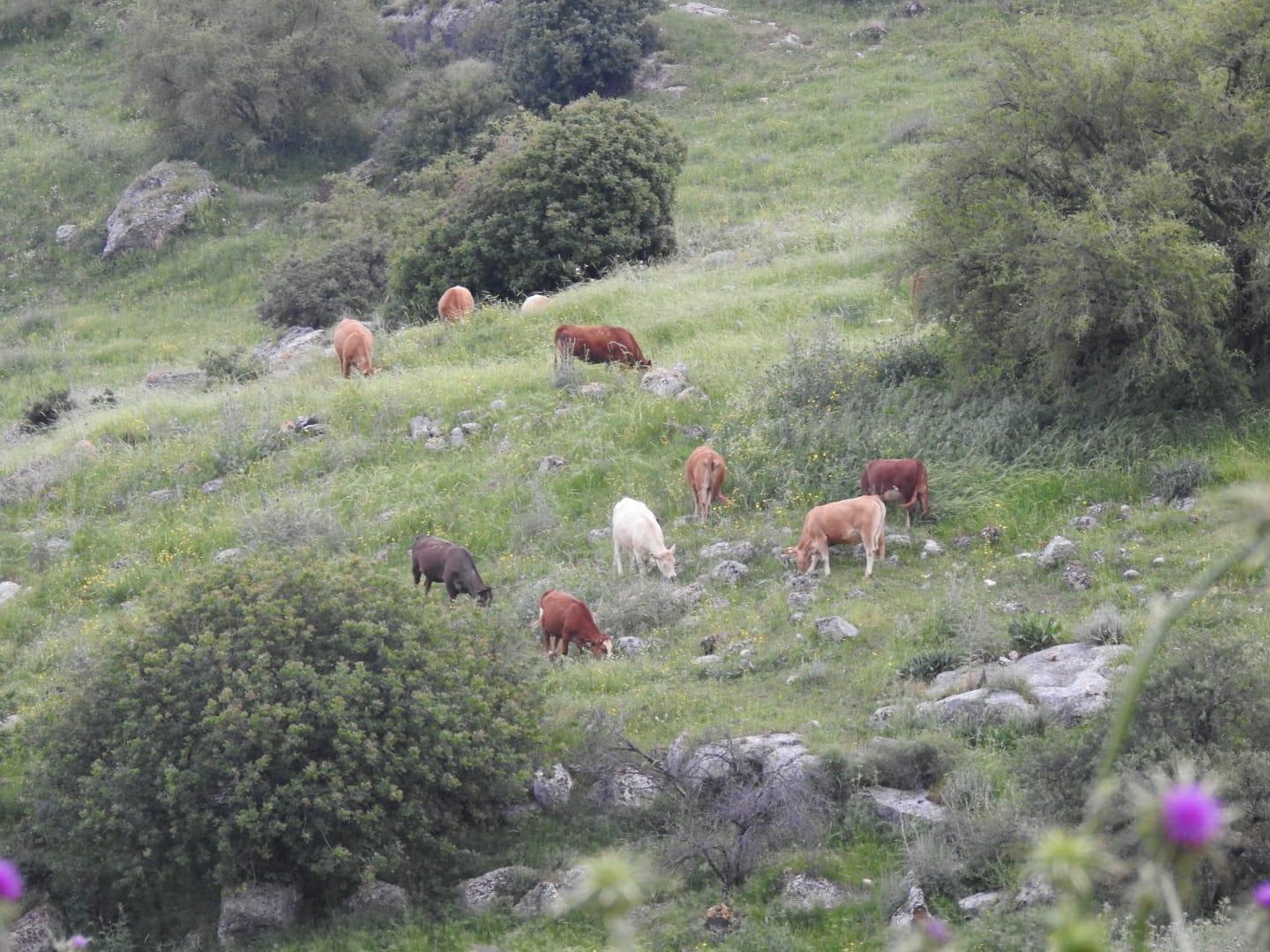 הנוף שסובב את קיבוץ חוקוק
