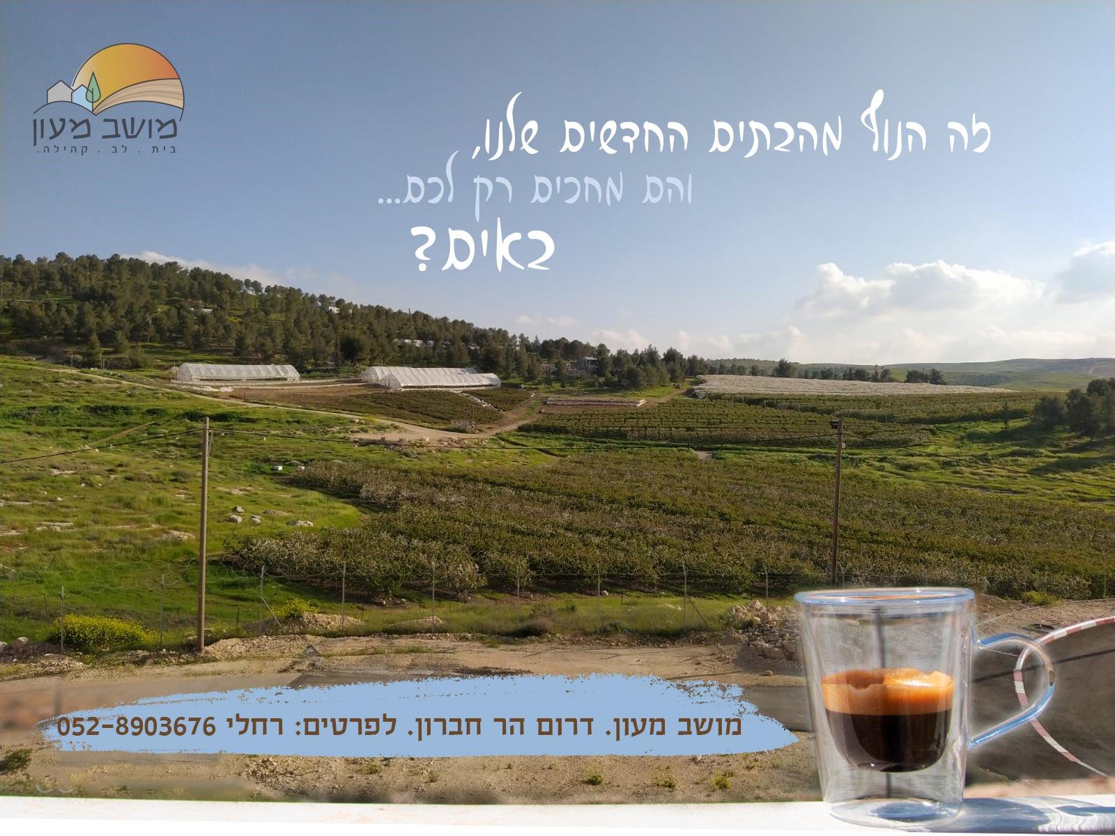 נוף מבתי השכונה החדשה