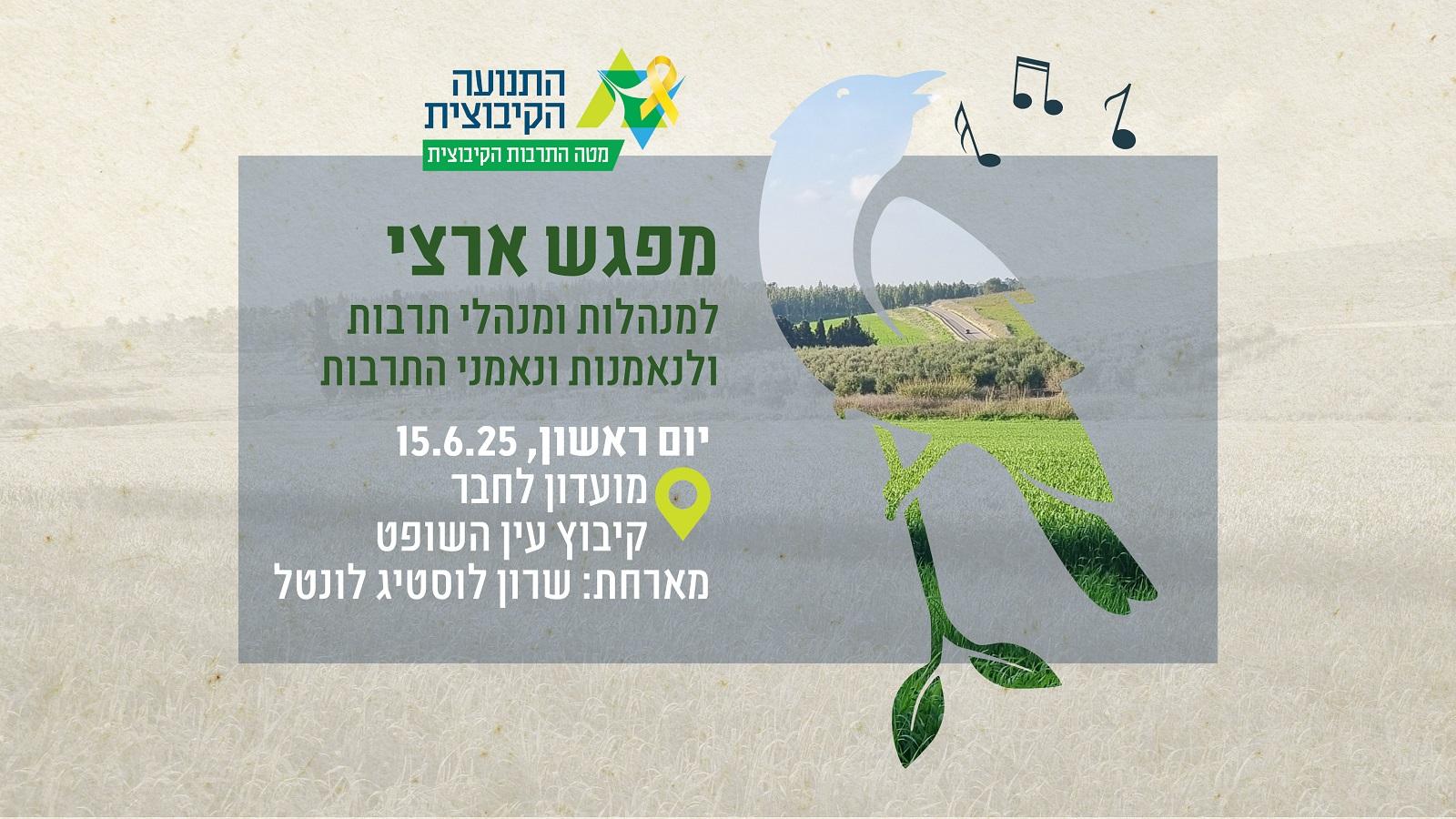 עין השופט
