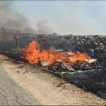 הכוורות השרופות. צילום: באדיבות מכוורת "גליל", קיבוץ דן