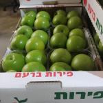 בית האריזה בקיבוץ לשיווק פירות ברעם ומטעים אחרים