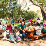 פיקניק לכל הקיבוץ בפינת החי