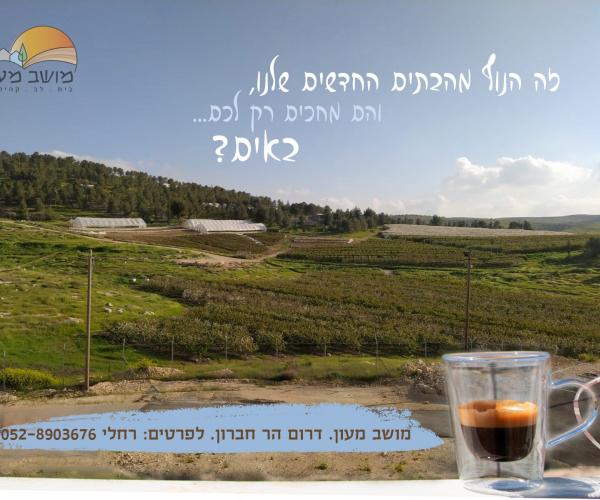 נוף מבתי השכונה החדשה