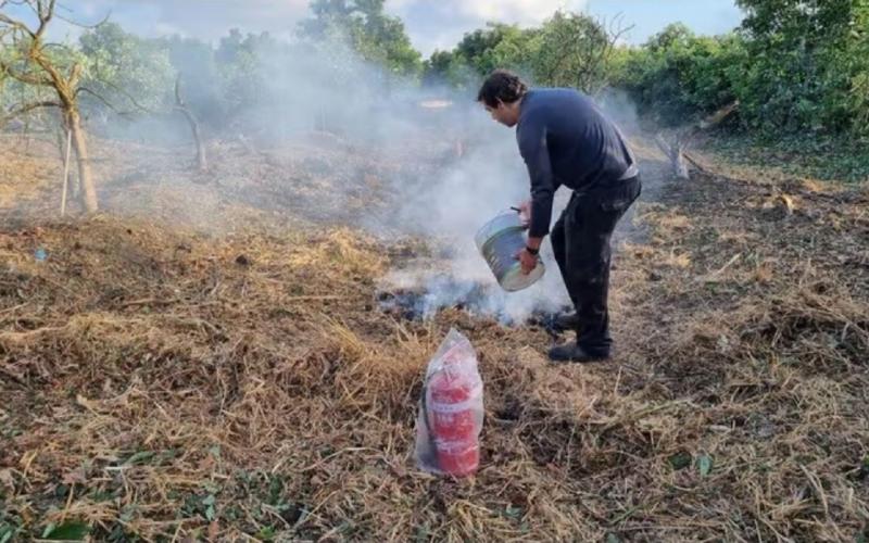 נפילת רקטה בלב מטע האבוקדו של כפר מסריק. צילום: יואב גירש