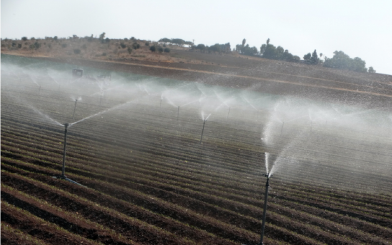 עבר בקריאה ראשונה: חוק היסטורי יוזיל את מחיר המים לחקלאים